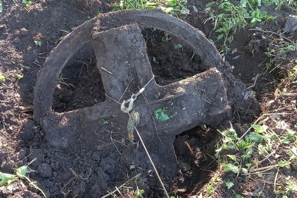 Можно ли вывести деньги с кракена