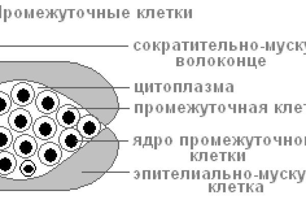 Ссылки для tor